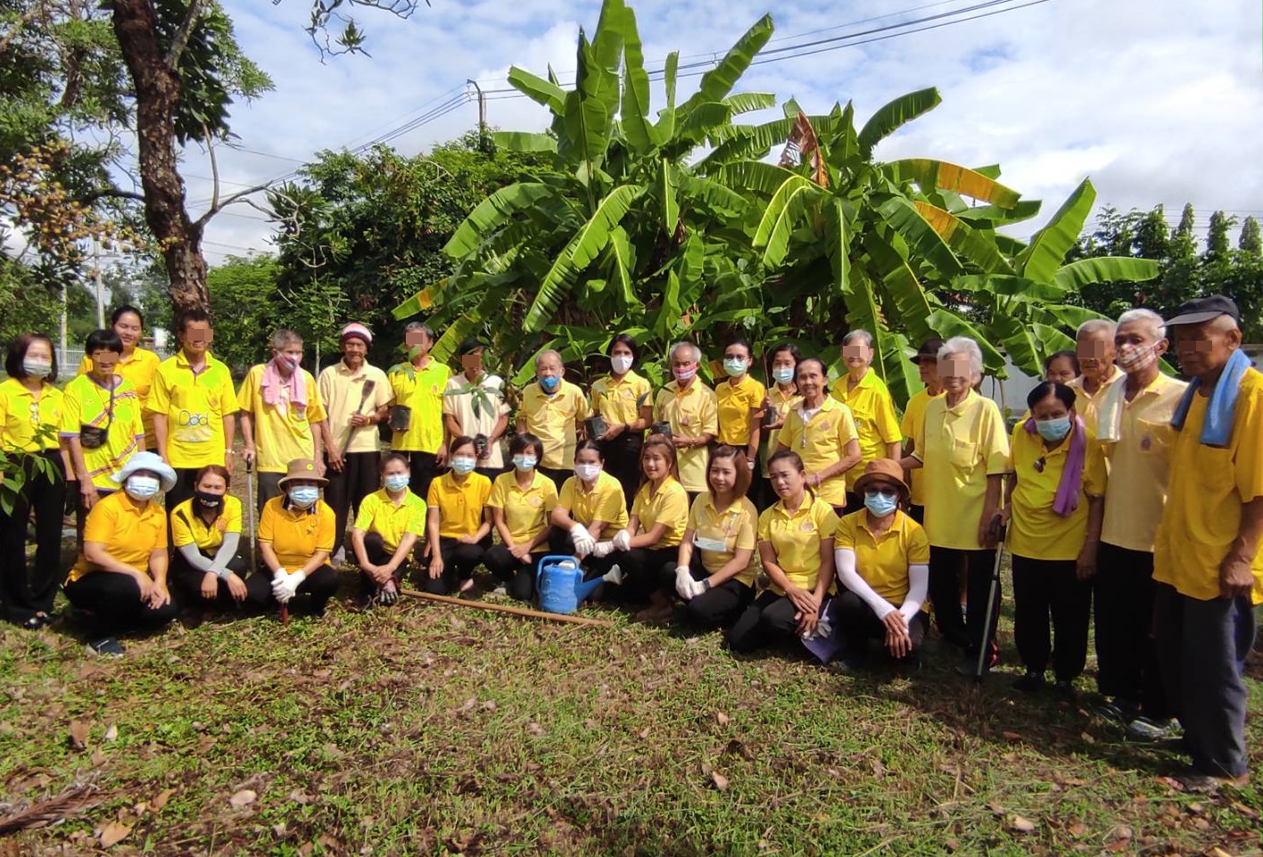 กิจกรรมวันต้นไม้ประจำปีของชาติ