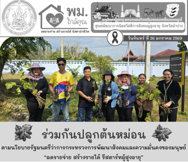 ปลูกต้นหม่อน “ลดรายจ่าย สร้างรายได้ รีสตาร์ทผู้สูงอายุ”