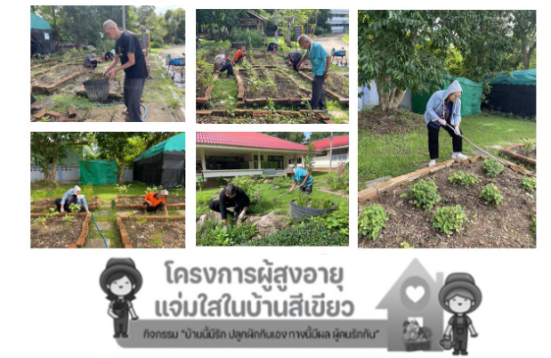โครงการผู้สูงอายุแจ่มใสในบ้านสีเขียว กิจกรรม “บ้านนี้มีรัก ปลูกผักกินเอง ทางนี้มีผล ผู้คนรักกัน”